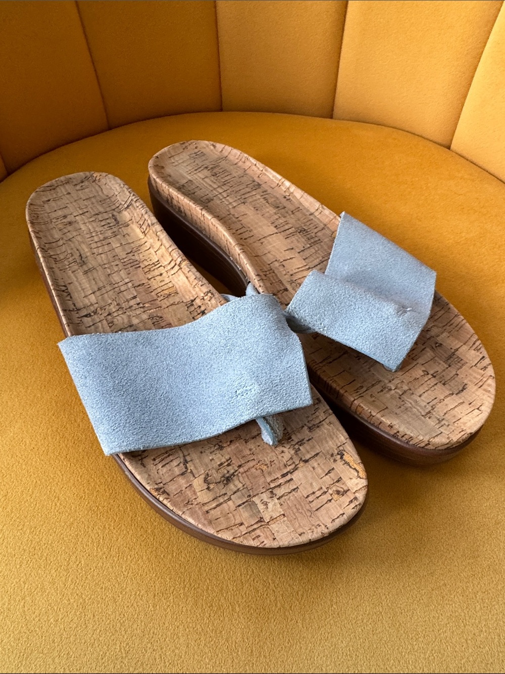 Donald J. Pliner Light Blue Suede Cork Slide Sandals - Women